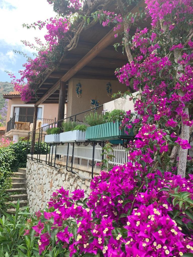 Sea View Bougainvillea 52 Kalkan Kültér fotó